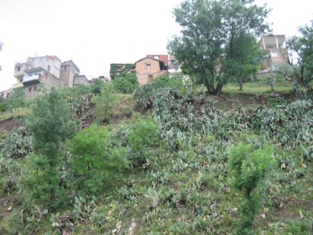 At Eurbah