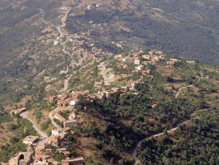 Tiwizi
